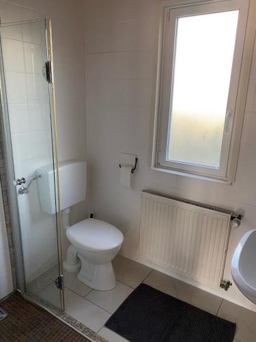 a bathroom with a toilet and a shower and a window at EIFELCOTTAGE Family 7 in Ulmen