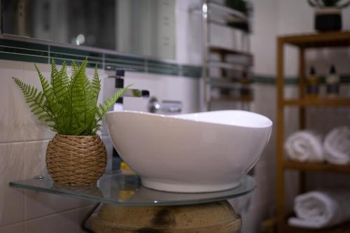 a bathroom with a sink and a plant on a counter at Caemorgan Mansion in Cardigan