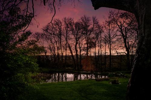 a sunset over a body of water with trees at Caemorgan Mansion in Cardigan