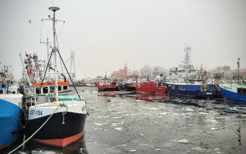a group of boats are docked in a harbor at Apartament DANA piękna plaża wydmy las in Ustka