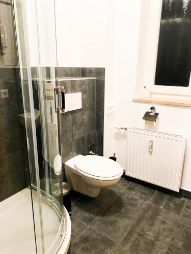 a bathroom with a toilet and a glass shower at Hotel Zur Linde in Zschepplin