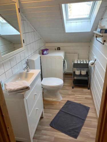 a bathroom with a toilet and a sink and a window at EIFELCOTTAGE Family 9 in Ulmen