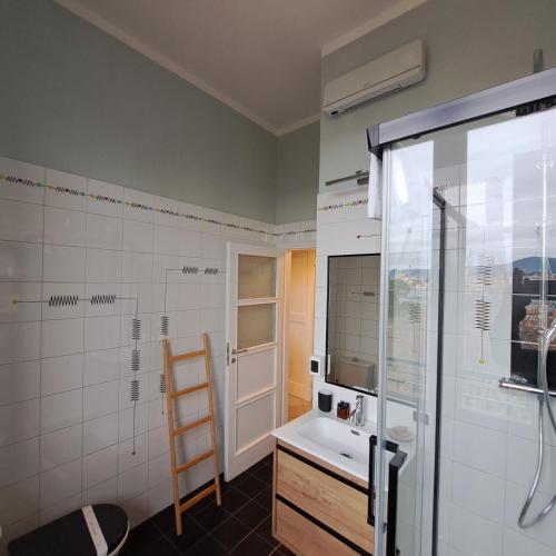 佛羅倫斯的住宿－Apartment Corsica 11，带淋浴和盥洗盆的浴室