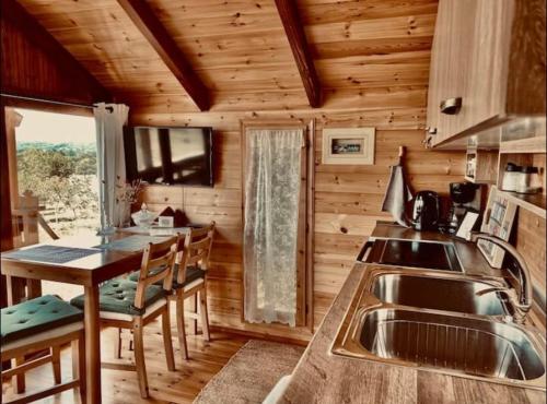 a kitchen with a sink and a table in a cabin at The Treehouse of The Dragon in Ioannina
