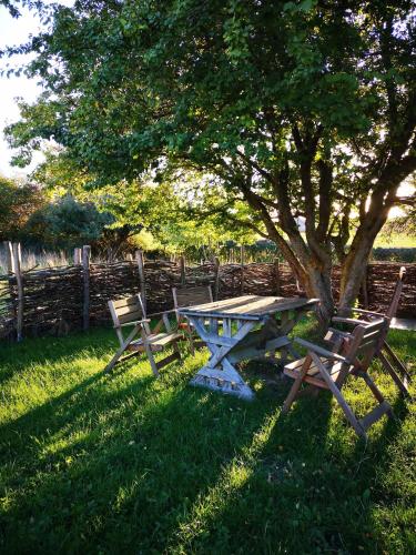 a picnic table and two chairs under a tree at Møllehusets Bed & Breakfast in Nordborg
