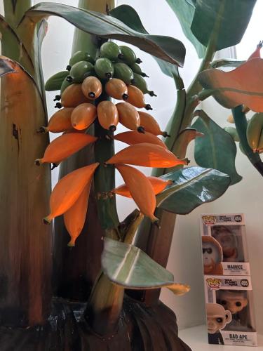 Afbeelding uit fotogalerij van Monkey Tree Stay in Schiedam