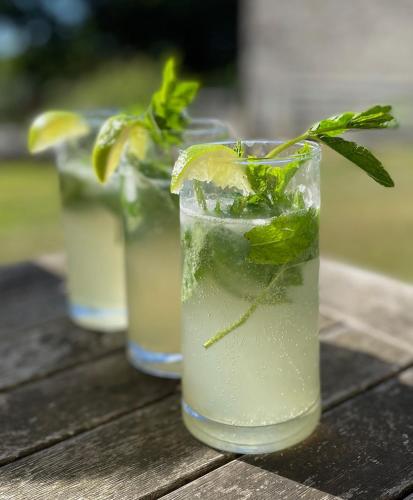 a row of glasses with a drink with a plant in it at Caemorgan Mansion in Cardigan