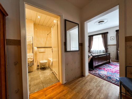 a room with a bathroom with a toilet and a mirror at Hotel Konvice in Český Krumlov