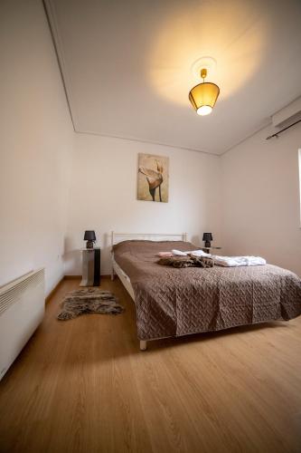 a bedroom with a bed and a light on the ceiling at Trikala center 5 in Tríkala