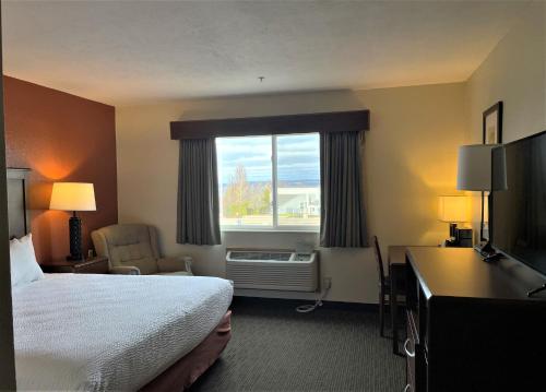 um quarto de hotel com uma cama e uma janela em AmericInn by Wyndham Petoskey em Petoskey
