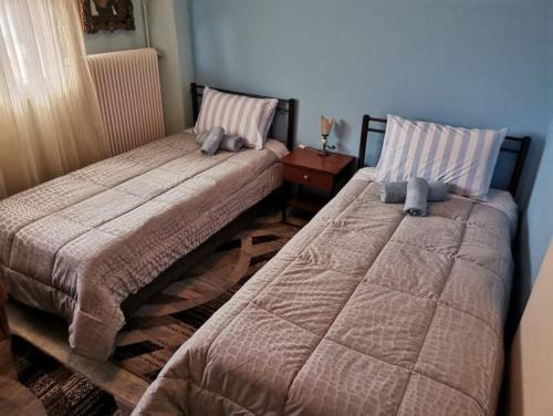dos camas sentadas una al lado de la otra en un dormitorio en Σπίτι στη Γωνία, en Tríkala