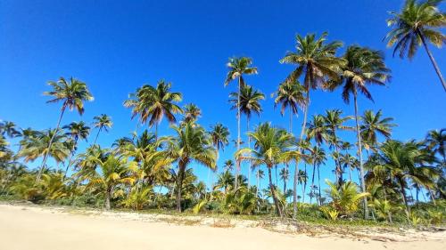 a group of palm trees on a beach at Barra Grande Villa Uluwatu 104 in Barra Grande