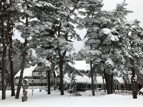 a group of trees covered in snow in front of a building at Skalva Nida in Nida