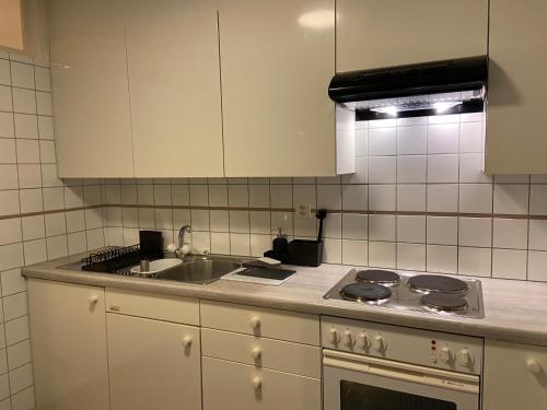 a kitchen with a stove and a sink at Comfort 1 and 2BDR Apartment close to Zurich Airport in Zurich