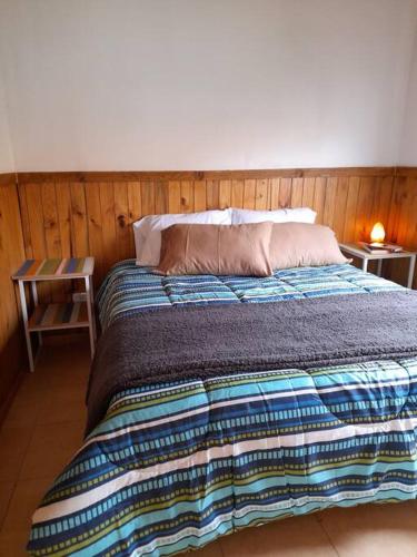 1 dormitorio con 1 cama grande y pared de madera en Aires de Trevelin en Trevelín