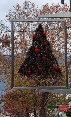 a net with red balls on top of a tree at Marlingsuites - Vinea - Wieser Josef - Marling in Marlengo
