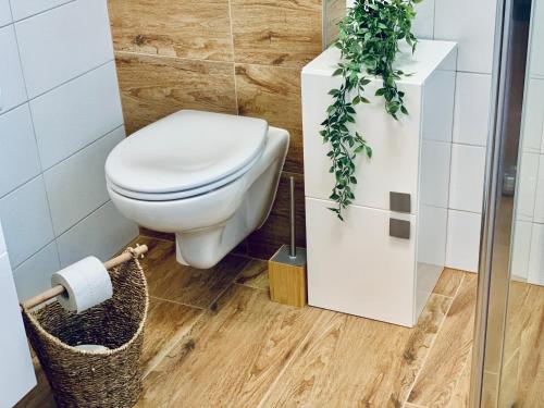 a bathroom with a toilet and a plant at Romantické chalúpky Raj-Borievka, Čučoriedka a Drienka in Hrabušice