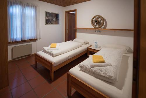 a bedroom with two beds and a window at Hotel Santana in Roveredo