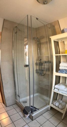 une douche avec une cabine en verre dans une salle de bain dans l'établissement Möwenflug Apartments, à Travemünde