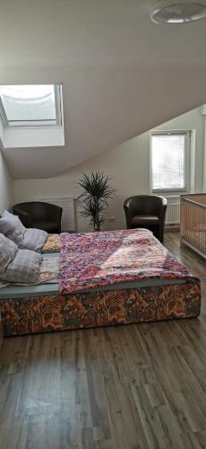 1 dormitorio con 1 cama grande en una habitación en Linda, en Ruderatshofen