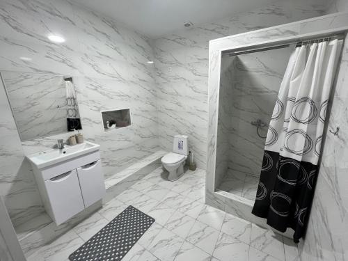 a bathroom with a shower and a sink and a toilet at SN Apartments in Osh