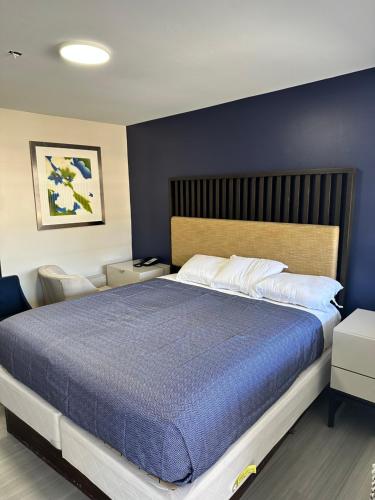 a bedroom with a large bed with a blue wall at Economy 7 Inn Hampton in Hampton