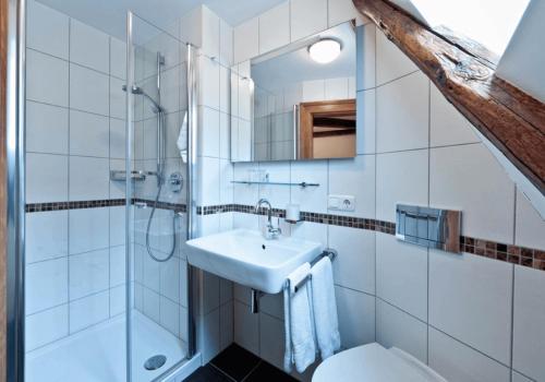 a bathroom with a sink and a shower and a toilet at Gasthof zum Schwan in Sommerach