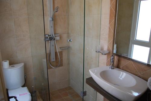 a bathroom with a shower and a toilet and a sink at Room in Faneromeni's grove in Kastoria