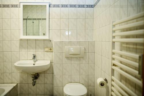y baño con aseo y lavamanos. en Ferienwohnung am Rothaarsteig en Bad Berleburg