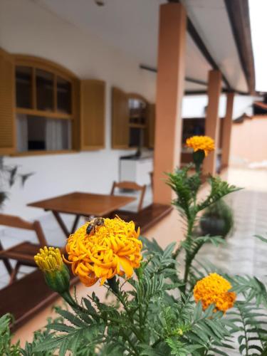 Fotografie z fotogalerie ubytování Pousada Vieira v destinaci Paraty