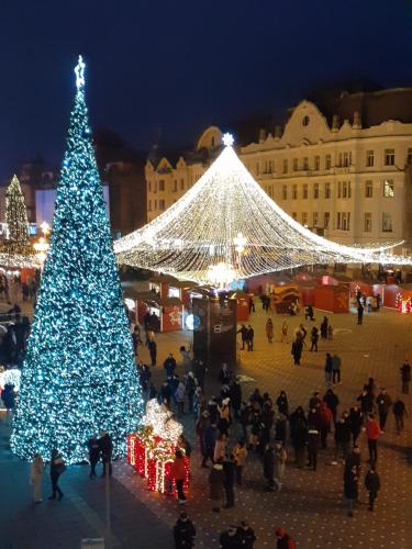Ein Weihnachtsbaum auf einem Platz mit Menschen und Lichtern in der Unterkunft CityCore - Best choice&price in Timişoara