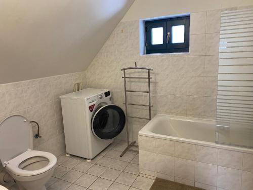 een badkamer met een toilet en een wasmachine bij Vila 66 - Čistá v Krkonoších in Cerny Dul