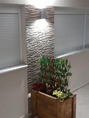 a plant in a wooden crate in front of a brick wall at Stbs Luxury, Nea Fokea in Nea Fokea