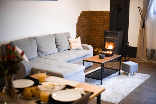 a living room with a couch and a fireplace at East Mountain Villa in Batina