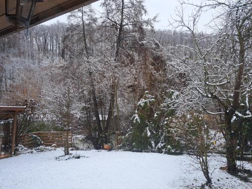 a snow covered yard with trees and a house at Hámori Álom in Miskolc
