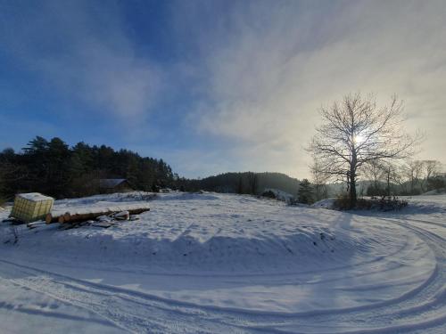a snow covered field with a tree in the distance at Haus Goldfuß in Pottenstein