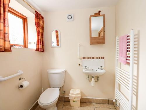 a bathroom with a toilet and a sink at Clare's Cottage in Grainthorpe