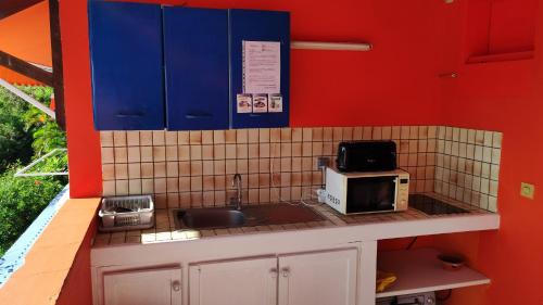 eine kleine Küche mit einer Spüle und einer Mikrowelle in der Unterkunft Résidence Frangipaniers in Sainte-Anne