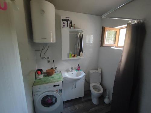 uma pequena casa de banho com WC e lavatório em Konak Mara- Komovi em Andrijevica