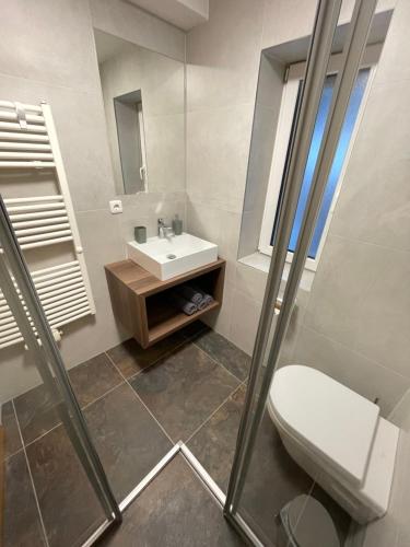 a bathroom with a toilet and a sink at Wonder & Wander in Ehrwald