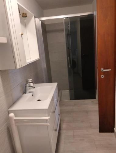 a bathroom with a white sink and a shower at Rustico Vita in Rezzonico