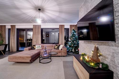 a living room with a christmas tree and a couch at LaKris in Groń