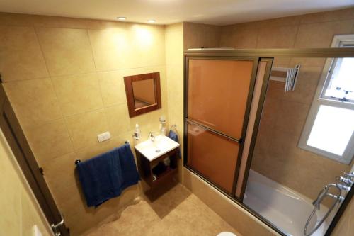 a bathroom with a shower and a sink and a toilet at Departamento JUJUY in San Salvador de Jujuy