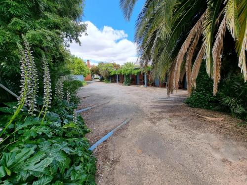 a dirt road with a bunch of plants and palm trees at La Cochon Rose Motel in Saint Arnaud