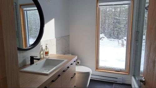 uma casa de banho com um lavatório, um espelho e uma janela em Les Chalets Double K # 1 em Saint-Alexis-des-Monts