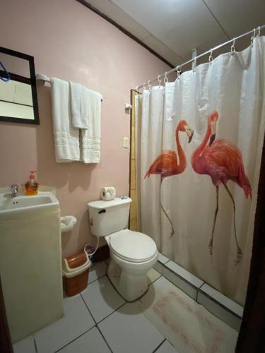 a bathroom with a toilet and a shower curtain at Chinitas Eco Lodge in Tortuguero