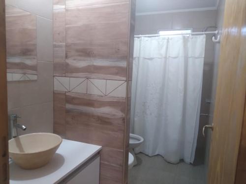 y baño con aseo, lavabo y ducha. en Cabaña Doña Alicia en San Rafael