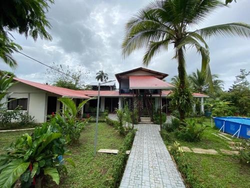 una casa con una palmera y una pasarela en Chinitas Eco Lodge en Tortuguero