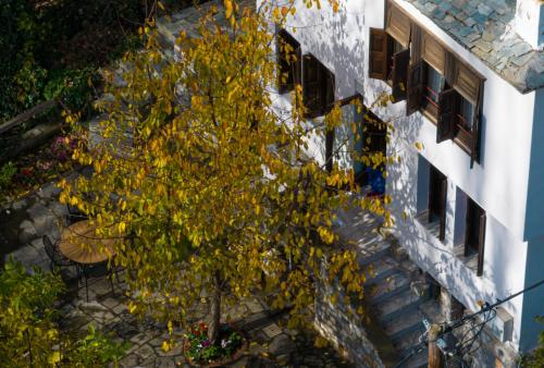 a tree with yellow leaves next to a building at KP113 All Season Villa in Makrinitsa in Makrinítsa