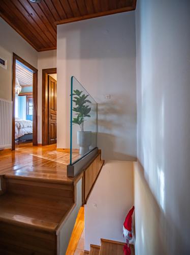 a room with a potted plant on a glass shelf at KP113 All Season Villa in Makrinitsa in Makrinítsa